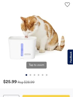 PetSafe White Cat Water Fountain with Blue Accent Stainless Steel Tray